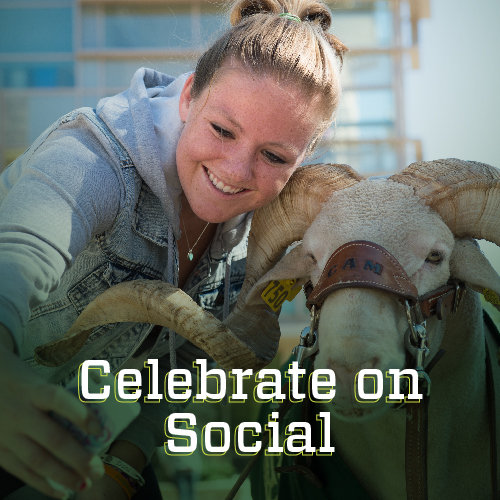Celebrate On Social