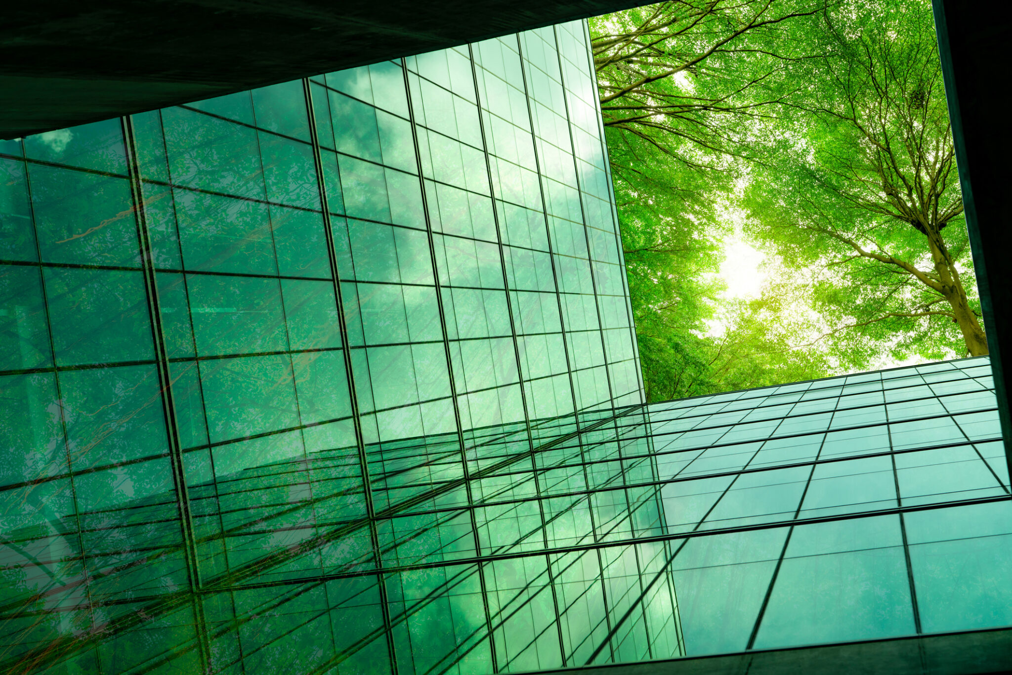 View of tall building windows looking up into an open space featuring trees.